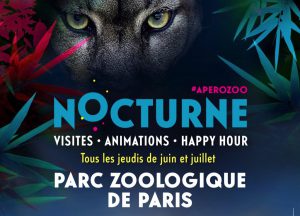 Les Nocturnes du Parc Zoologique de Paris - Un été sous le signe de la détente - Tous les jeudis de juin et juillet 2018