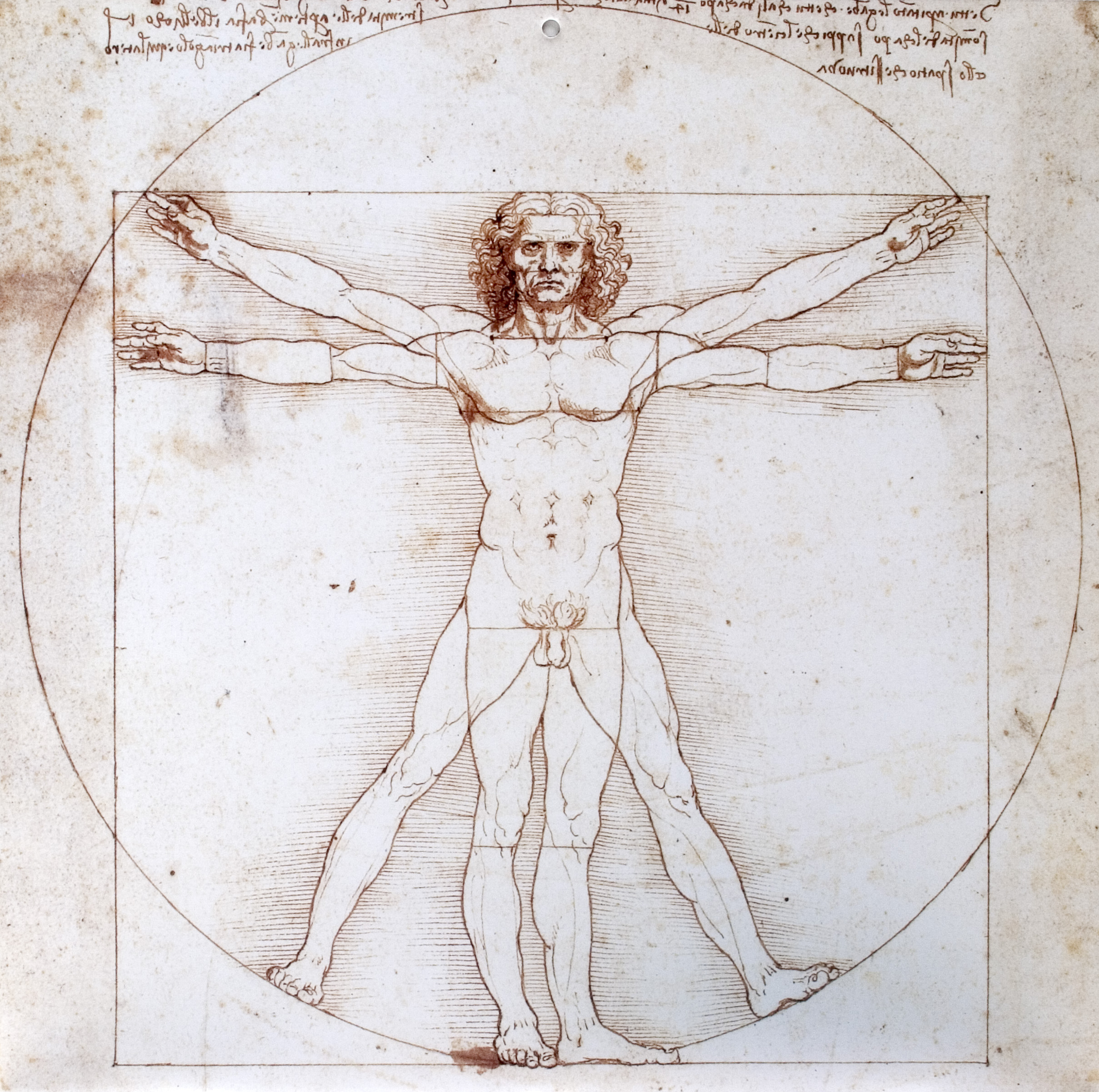 Léonard de Vinci, à la croisée des arts et des sciences