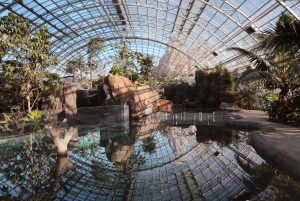 Parc Zoologique de Paris, Museum national d'histoire naturelle, Paris